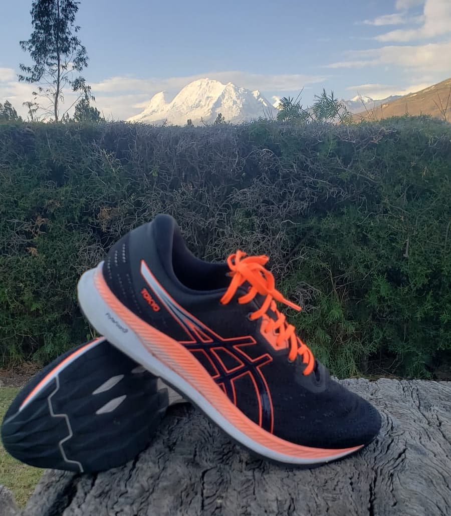 asics evoride amazon